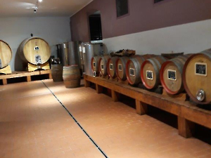 Wein-4