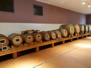 Wein-6