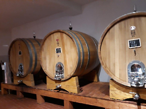 Wein-10