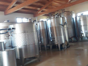 Wein-13
